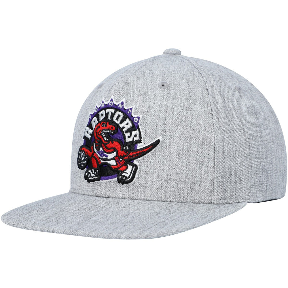 Toronto Raptors Hardwood Classics 2.0 Snapback Hat - Heather Gray | Mitchell & Ness shop