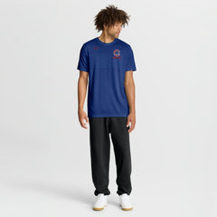 Chicago Cubs Knockout Team Legend Dri-FIT T-Shirt - Royal | Nike