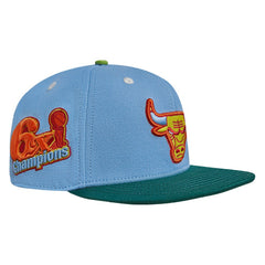 Chicago Bulls Pro Standard Retro Program 2-Tone Snapback Hat - Light Blue/Green discount