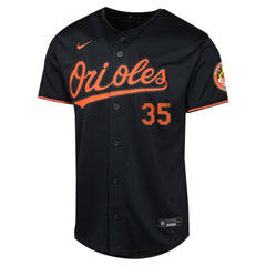 Adley Rutschman Baltimore Orioles Youth Alternate Limited Player Jersey - Black | Nike
