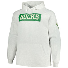Milwaukee Bucks Big & Tall Raglan Tri-Blend Pullover Hoodie - Ash | Fanatics on sale