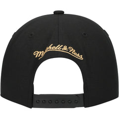 Florida Panthers Mitchell & Ness Core Team Script 2.0 Snapback Hat