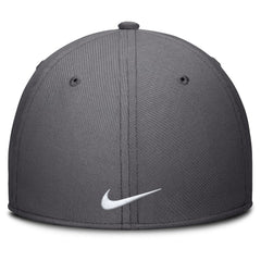 Houston Astros Swoosh Performance Flex Hat - Charcoal | Nike