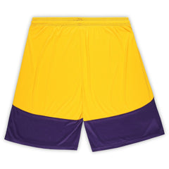 NFL Minnesota Vikings Big & Tall Launch Shorts