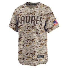 Fernando Tatis Jr. San Diego Padres Alternate 2 Limited Jersey - Camo | Nike