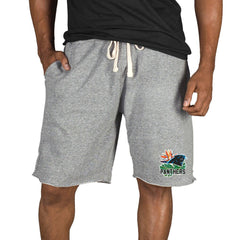 NFL Carolina Panthers Concepts Sport Mainstream Tri-Blend Shorts