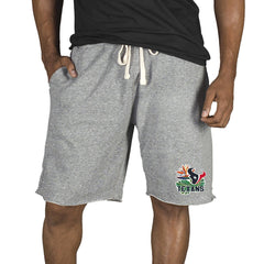NFL Houston Texans Concepts Sport Mainstream Tri-Blend Shorts