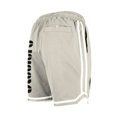 NFL Pittsburgh Steelers Stone Multi Patch Shorts