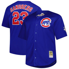 Ryne Sandberg Chicago Cubs Big & Tall Cooperstown Mesh Batting Practice Jersey - Royal | Mitchell & Ness
