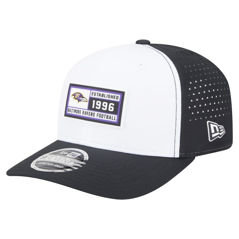 NFL Baltimore Ravens Established Patch 9SEVENTY Adjustable Hat