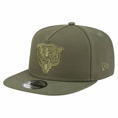 NFL Chicago Bears Youth Color Pack A-Frame 9FIFTY Snapback Hat