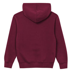 NFL Washington Commanders Outerstuff Preschool Back to Basics Hoodie