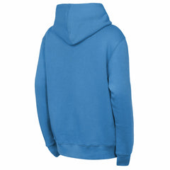 NFL Tennessee Titans Outerstuff Youth Back to Basics Hoodie