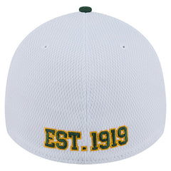 NFL Green Bay Packers Dashmark Rays 39THIRTY Flex Hat
