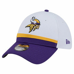 NFL Minnesota Vikings Dashmark Rays 39THIRTY Flex Hat
