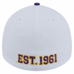 NFL Minnesota Vikings Dashmark Rays 39THIRTY Flex Hat