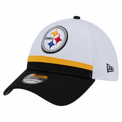 NFL Pittsburgh Steelers Dashmark Rays 39THIRTY Flex Hat