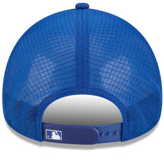 New York Mets 2026 Batting Practice Alternate Apex 9FORTY Adjustable Hat - Royal | New Era