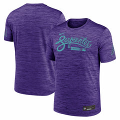 Arizona Diamondbacks Authentic Collection City Connect Velocity Dri-FIT T-Shirt - Purple | Nike