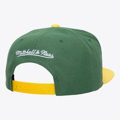 Minnesota Wild Mitchell & Ness Legendary Home Snapback Hat