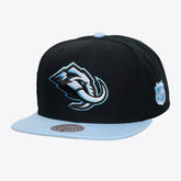 Utah Mammoth Mitchell & Ness Legendary Home Snapback Hat