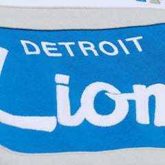 NFL Detroit Lions Head Coach Hoodie
