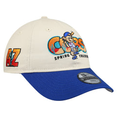 Chicago Cubs Youth 2026 Spring Training Fan Pack Batter 9TWENTY Adjustable Hat - Stone/Royal | New Era