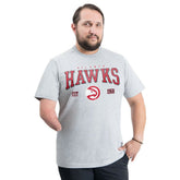 Atlanta Hawks G-III Sports by Carl Banks Adaptive Classic Team Spirit Short Sleeve T-Shirt - Gray for sale
