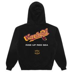 NFL Arizona Cardinals Born x Raised Unisex Pro Script Hoodie