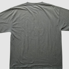 Texas Rangers 2010 T-Shirt - Gray Vintage