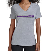Sacramento Kings Starter Women's Team Stripe V-Neck T-Shirt - Gray discount