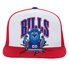 NFL Buffalo Bills Youth Team Mascot Snapback Hat