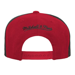 NFL San Francisco 49ers Youth Team Mascot Snapback Hat
