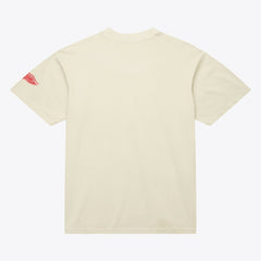 Detroit Red Wings Mitchell & Ness Unisex Arched Team T-Shirt