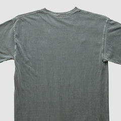 NFL Pittsburgh Steelers NFL 2010s T-Shirt