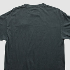 NFL Pittsburgh Steelers NFL 2010s T-shirt