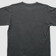NFL Pittsburgh Steelers NFL 2000s T-shirt