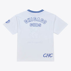 Chicago Cubs Cooperstown Collection Arctic T-Shirt - White | Mitchell & Ness