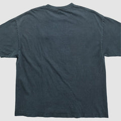 NFL Pittsburgh Steelers NFL 2010s T-shirt