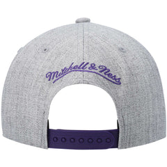 Phoenix Suns Hardwood Classics Team 2.0 Snapback Hat - Heathered Gray | Mitchell & Ness on sale