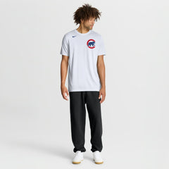 Chicago Cubs New Legend Wordmark Dri-FIT T-Shirt - White | Nike