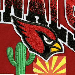 NFL Arizona Cardinals Pro Standard Hometown Collection T-Shirt