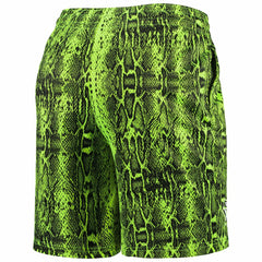 NFL New England Patriots Summer Pop Shorts