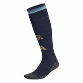 2026 Argentina Home Socks | Discount