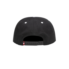 Fan Ink Collection USA Bankroll Snapback Hat | Online