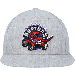 Toronto Raptors Hardwood Classics 2.0 Snapback Hat - Heather Gray | Mitchell & Ness shop