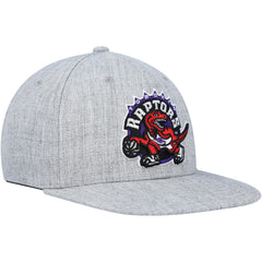 Toronto Raptors Hardwood Classics 2.0 Snapback Hat - Heather Gray | Mitchell & Ness shop