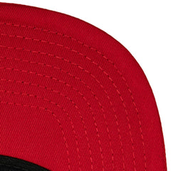 Chicago White Sox Hometown Snapback Hat - Light Blue/Red | Mitchell & Ness