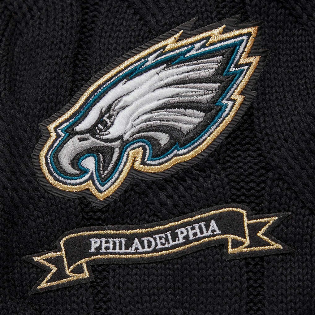 NFL Philadelphia Eagles Pro Standard Women's Prep V-Neck Pullover Sweater