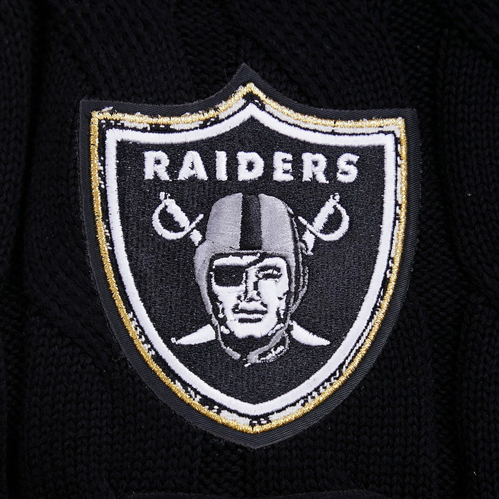 NFL Las Vegas Raiders Pro Standard Women's Prep V-Neck Pullover Sweater